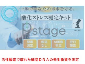 画像1: 酸化ストレス測定キット