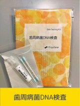 画像: 歯周病菌・遺伝子（DNA）検査[送料無料!!]