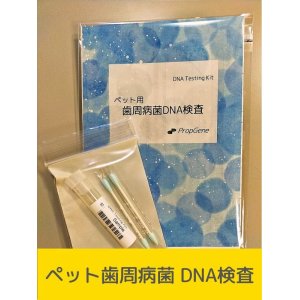 画像: 歯周病菌・DNA検査キット（イヌ用）[送料無料!!]