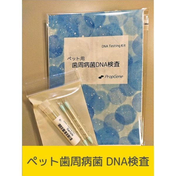 画像1: 歯周病菌・DNA検査キット（イヌ用）[送料無料!!] (1)