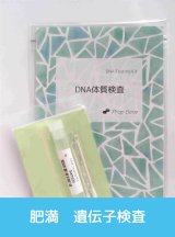 画像: 肥満・遺伝子（DNA）検査3項目［送料無料!!］